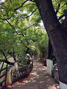 Kunming - Parc Cuihu - 39